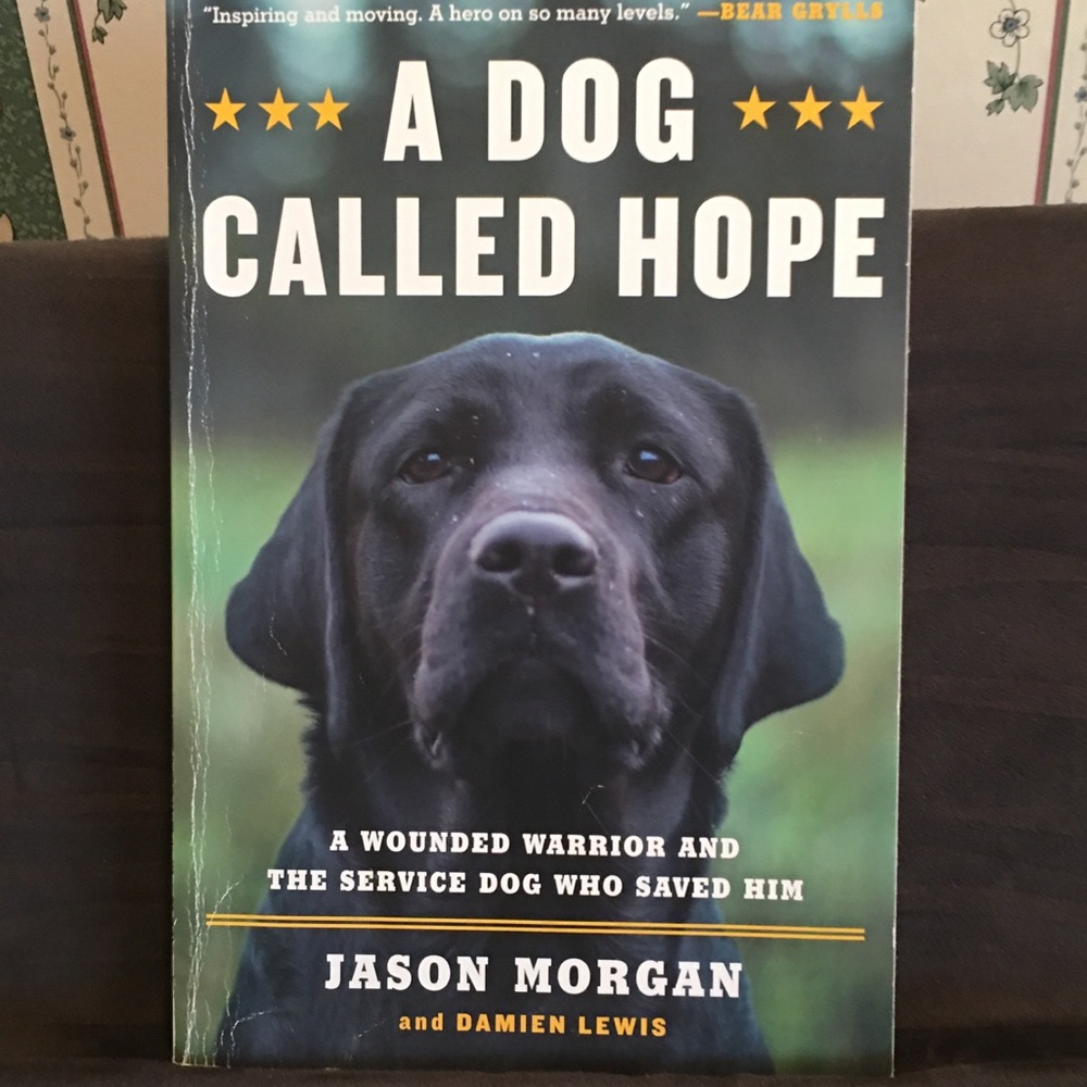 A Dog Called Hope, paperback about a Wounded Warrior & His Service Dog.